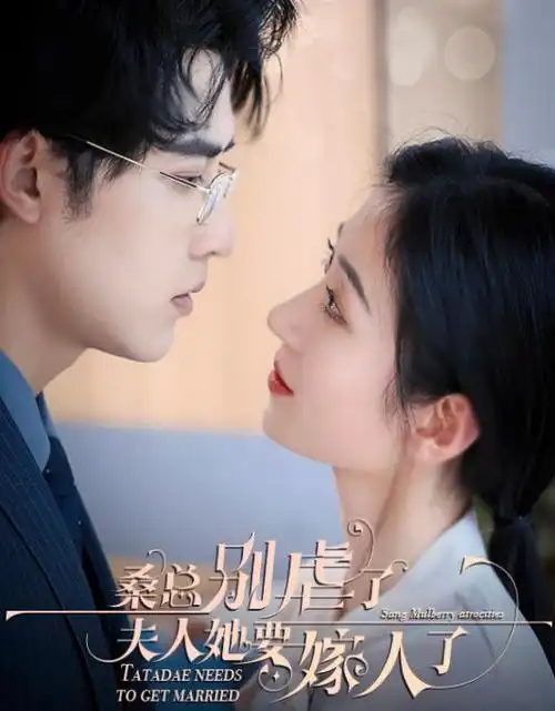长夜灯影 热播电视剧全集在线观看